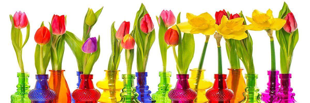 Tulpen und Narzissen in Vasen. Event Dekoration von all about event. Wir schaffen Atmosphären.